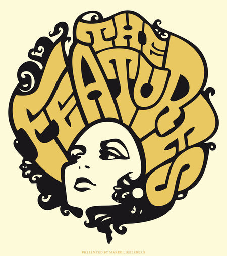The Features: Live 2012