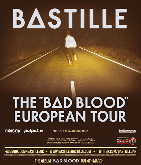 Bastille: Live 2013